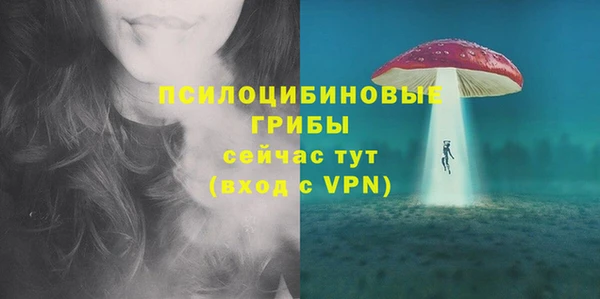 дживик Янаул