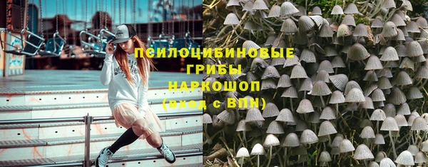 дживик Янаул