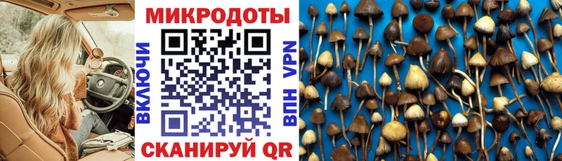 Галлюциногенные грибы мухоморы Златоуст