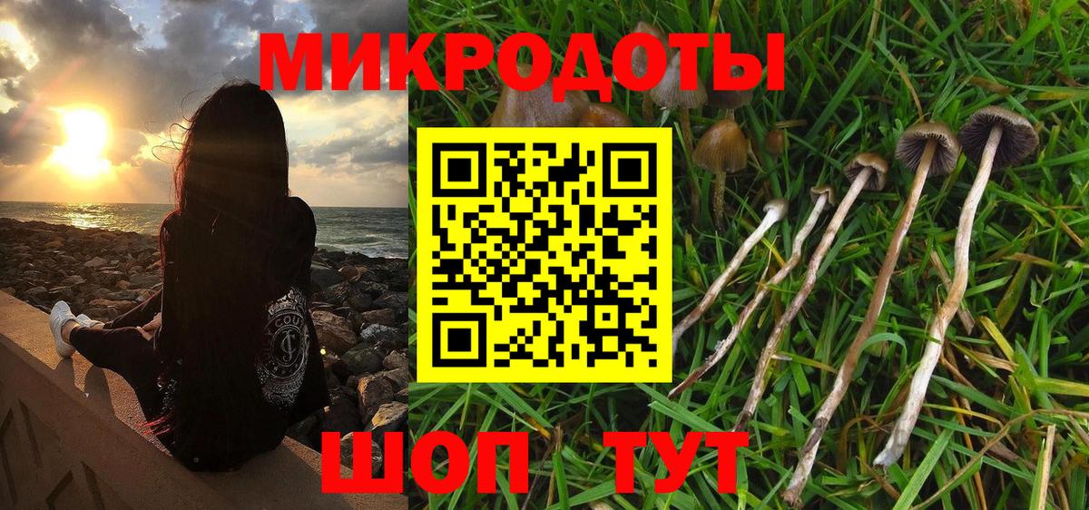 Галлюциногенные грибы мицелий Златоуст