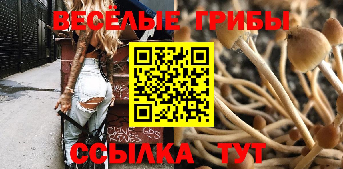 где купить   Псилоцибиновые грибы MAGIC MUSHROOMS  Златоуст  Галлюциногенные грибы MAGIC MUSHROOMS 