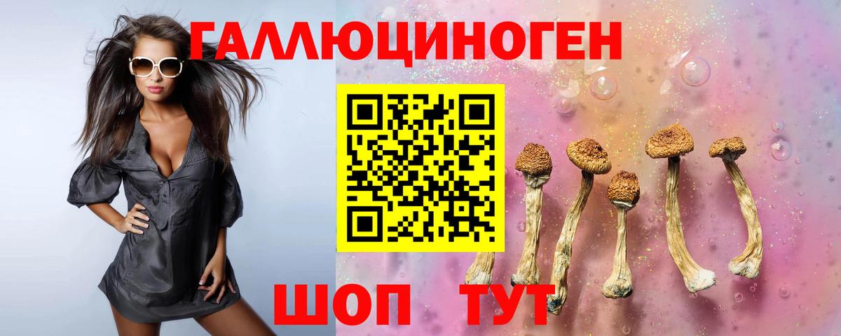 Псилоцибиновые грибы мицелий Златоуст